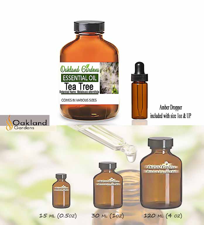 Tea Tree Essential Oil (Melaleuca Alternifolia)