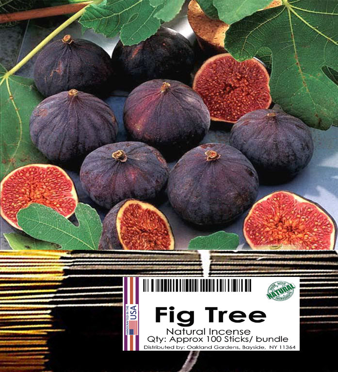 Fig Tree Incense