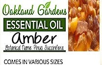 Amber Essential Oil  (Pinus Succinifera)