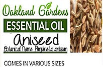 Aniseed / Anise Seeds Essential Oil  (Pimpinella anisum)