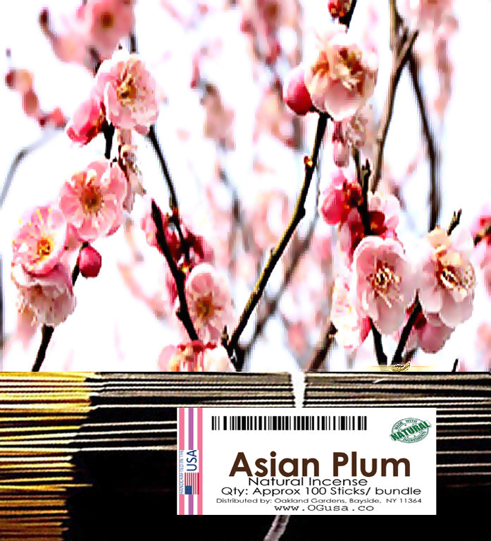 Asian Plum Incense