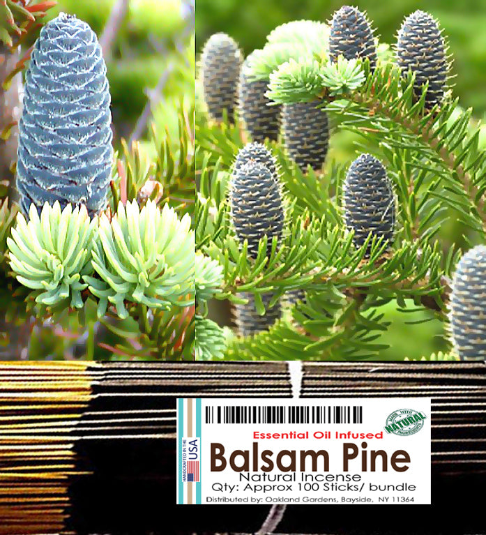 Balsam Pine Incense