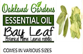 Bay Leaf Essential Oil  (Laurus nobillis)