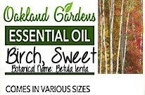 Birch, Sweet Essential Oil (Betula lenta)