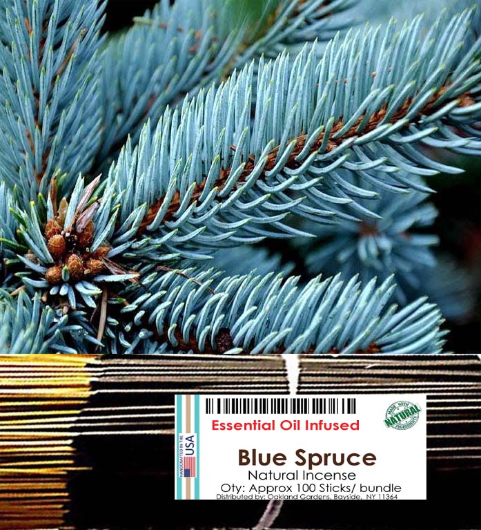 Blue Spruce Incense