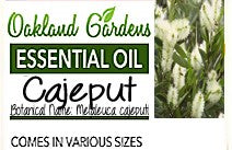 Cajeput Essential Oil (Melaleuca cajuputi)