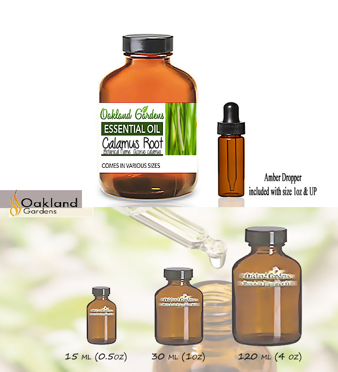 Calamus Root Essential Oil (Acorus calamus)