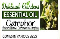 Camphor Essential Oil  (Cinnamomum camphora)