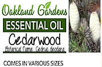 Cedarwood Essential Oil (Cedrus deodara)