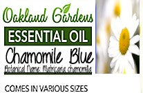 Chamomile Blue Essential Oil (Matricaria chamomilla)