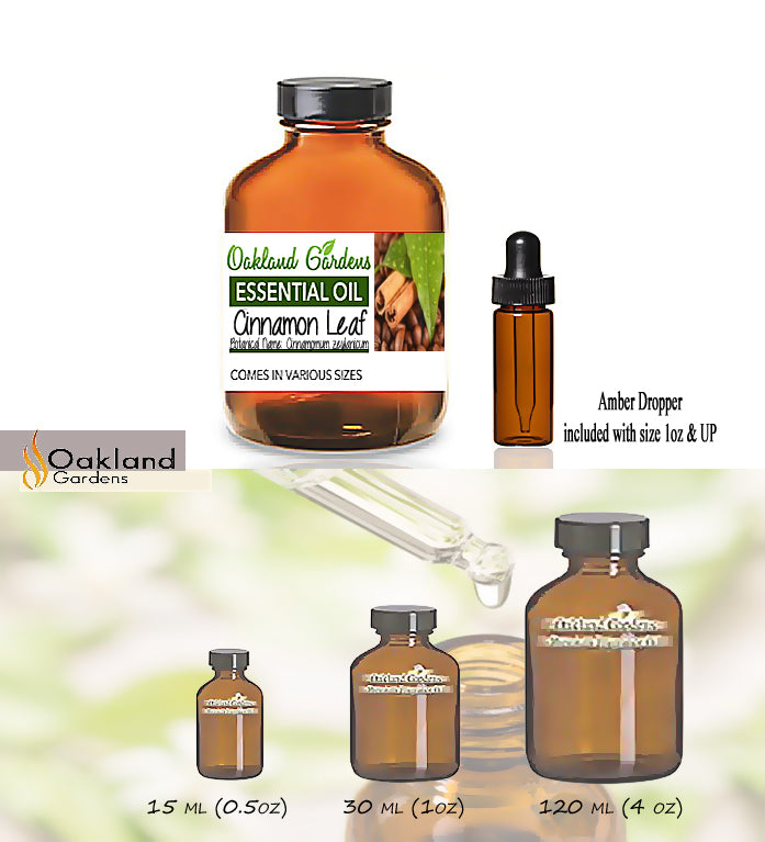 Cinnamon Leaf Essential Oil (Cinnamomum zeylanicum)