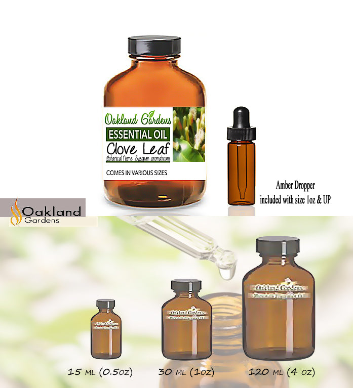 Clove Leaf Essential Oil (Syzgium aromaticum)