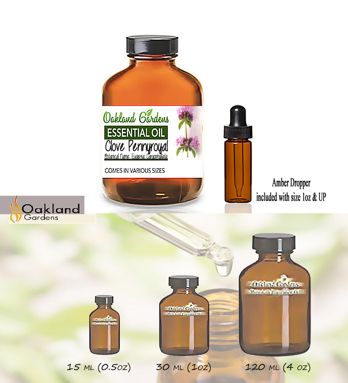 Clove Pennyroyal Essential Oil (Eugenia Caryophyllata)