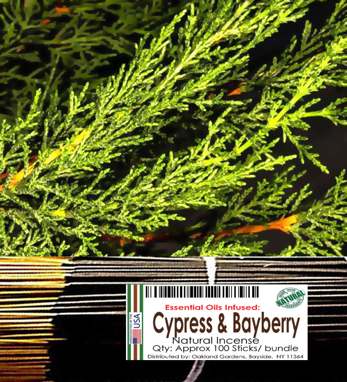 Cypress & Bayberry Incense