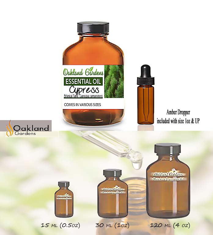 Cypress Essential Oil (Cupressus sempervirens)