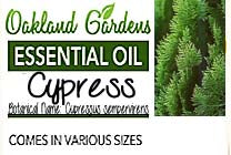 Cypress Essential Oil (Cupressus sempervirens)