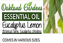 Eucalyptus Lemon Essential Oil (Eucalyptus citriodora)