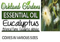 Eucalyptus Essential Oil (Eucalyptus globulus)