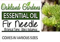 Fir Needle Essential Oil (Abies balsamea)