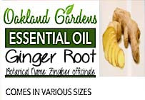 Ginger Root Essential Oil (Zingiber officinale)