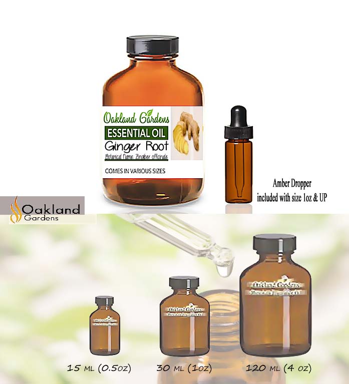 Ginger Root Essential Oil (Zingiber officinale)