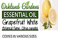 Grapefruit, White Essential Oil (Citrus paradisi)