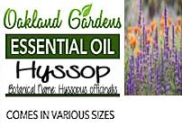 Hyssop Essential Oil  (Hyssopus officinalis)