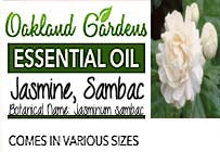 Jasmine, Sambac Essential Oil (Jasminum sambac)