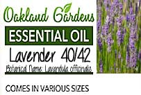 Lavender 40/42 Essential Oil (Lavandula officinalis)