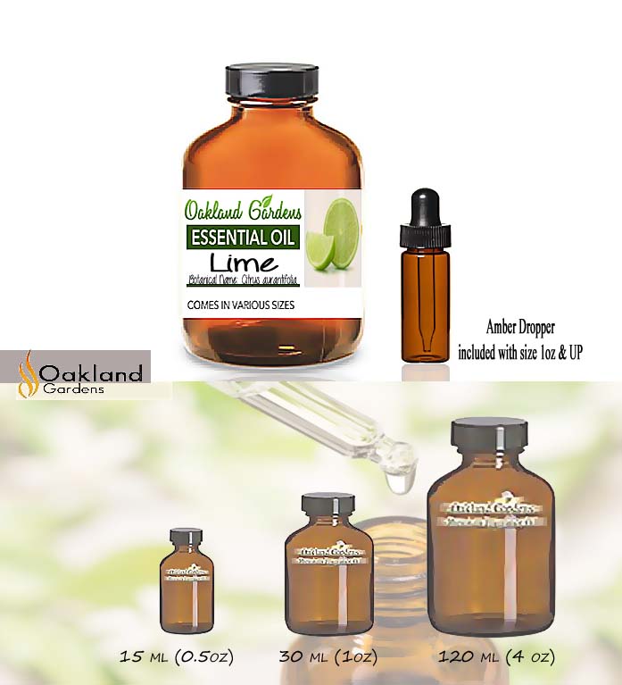 Lime Essential Oil (Citrus aurantifolia)