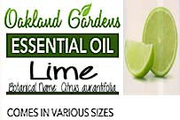 Lime Essential Oil (Citrus aurantifolia)