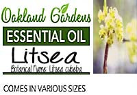 Litsea Essential Oil (Litsea Cubeba) aka May Chang