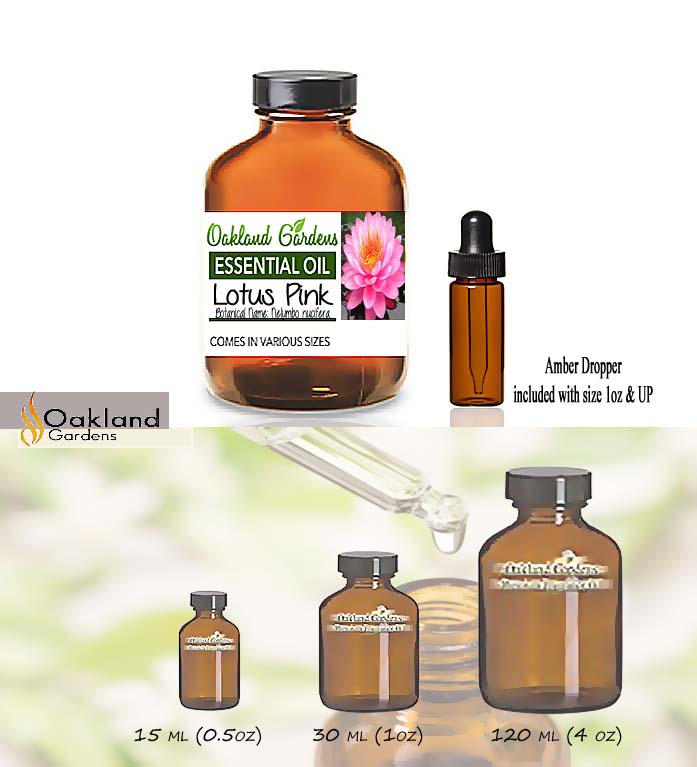 Lotus Pink Essential Oil (Nelumbo nucifera)