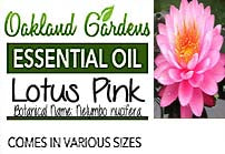 Lotus Pink Essential Oil (Nelumbo nucifera)