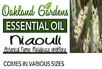 Niaouli Essential Oil (Melaleuca viridiflora)