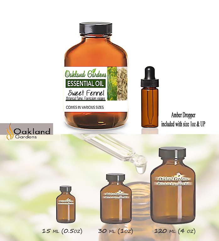 Sweet Fennel Essential Oil (Foeniculum vulgare)