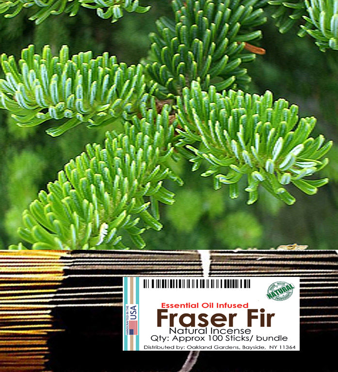 Fraser Fir Incense