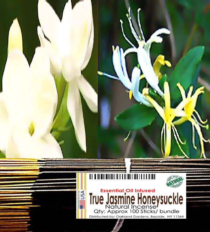 Jasmine Honeysuckle Incense