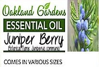 Juniper Berry Essential Oil (Juniperus communis)