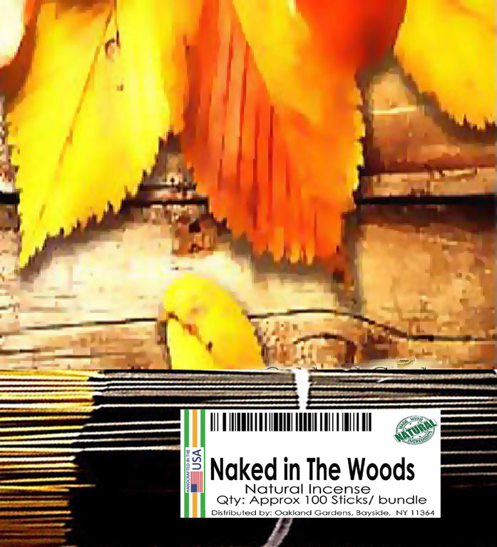 Naked in The Woods Incense