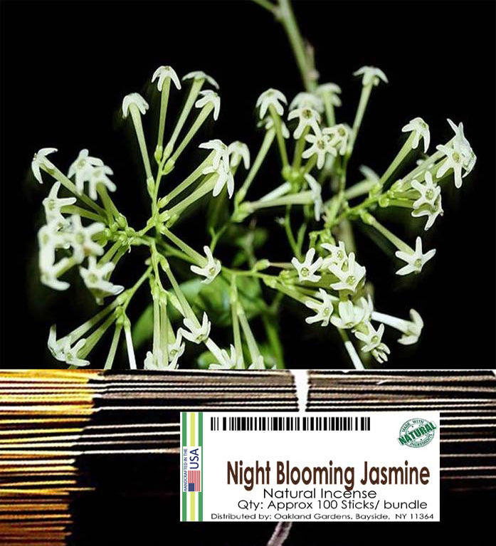 Night Blooming Jasmine Incense