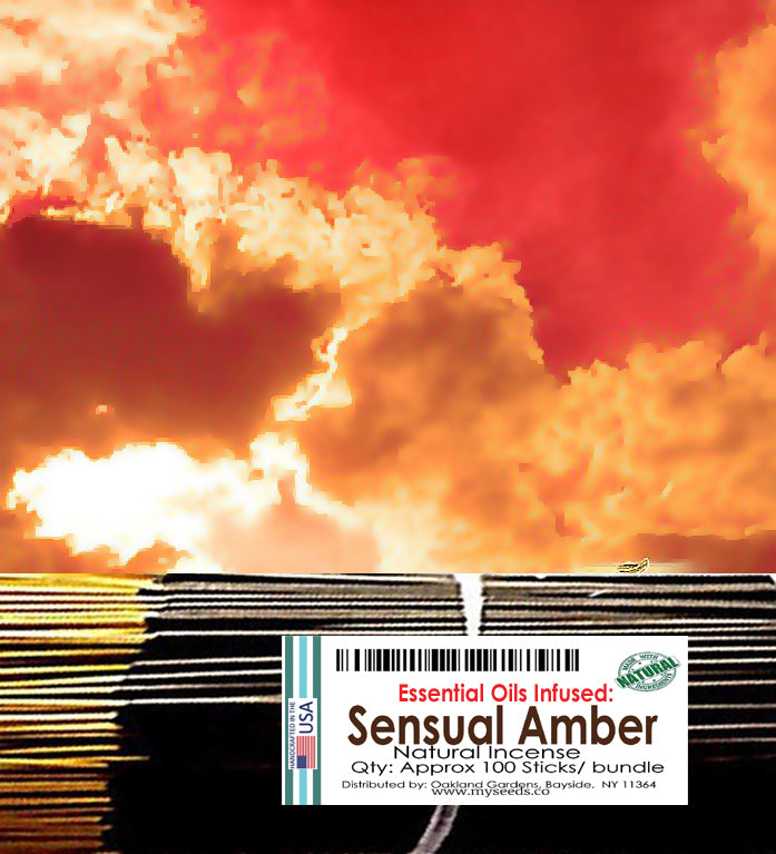 Sensual Amber Incense