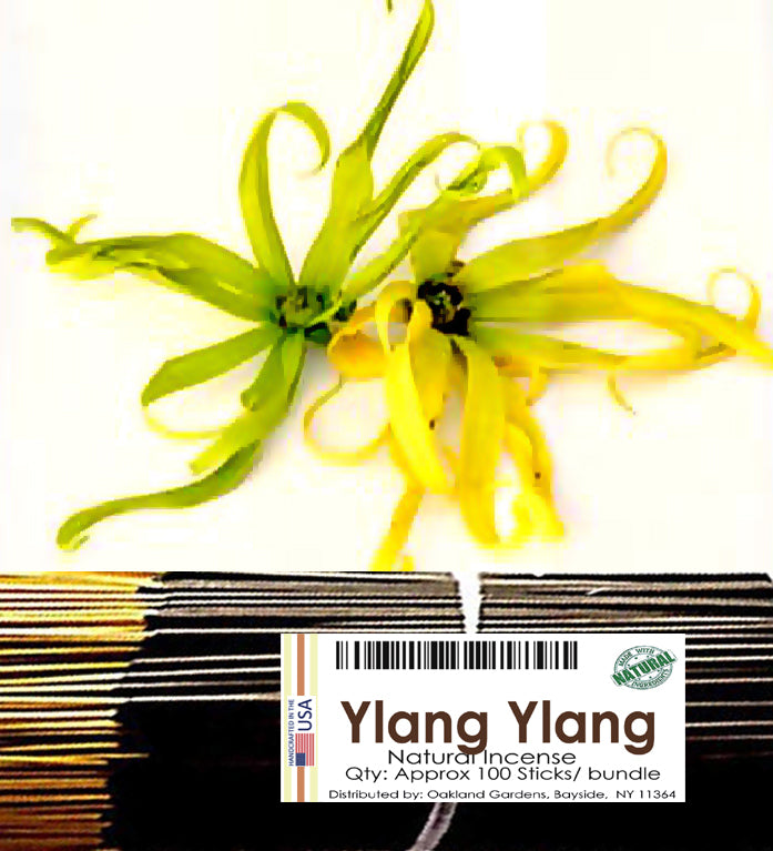 Ylang Ylang Incense