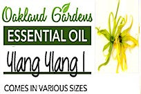 Ylang Ylang I Essential Oil (Cananga Odorata)